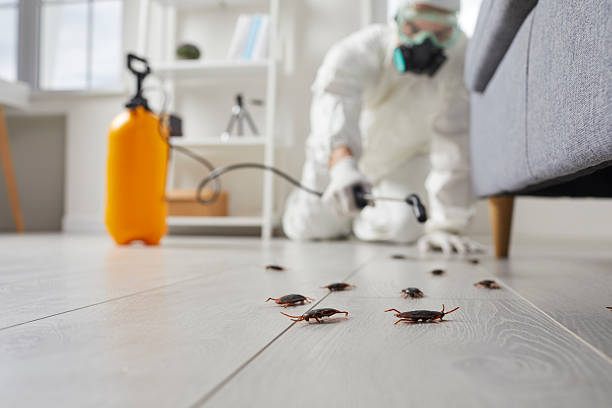Trusted Fumigation Services service in Cherry Creek, CO - Nex Pest Control